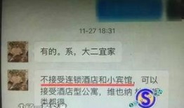 广州暗访爆料视频大全集,揭露城市角落的真相与挑战